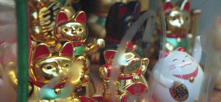 The image showcases a variety of Maneki-neko, or 'lucky cats', commonly seen in Japanese culture, displayed in a glass case. The figurines vary in size and are predominantly golden in color, with some featuring additional colors.