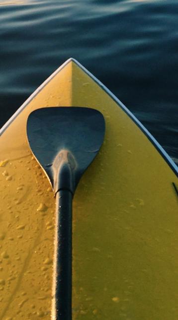 Stand Up Paddle Board On Calm Waters At Dusk, Puget Sound, WA, USA