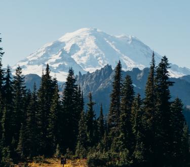 "From above empty road through the mountains of the Mount Rainier national park, Washington. Scenery aerial view of Mount Rainier on sunny day  "